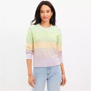 NWT Ann Taylor LOFT Striped Ombre Knit Crewneck Pullover Sweater Green Large